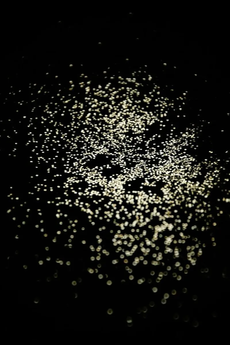 Galaxy Confetti pellicola backlit da Studio Nahili