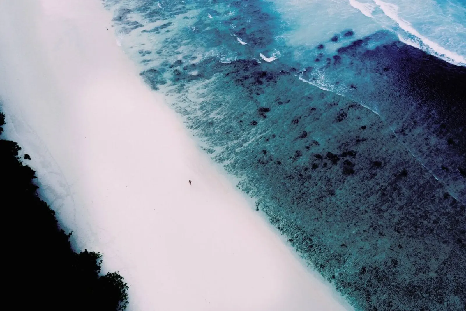 Tropical 5 poster con telaio in plastica da Airpixels