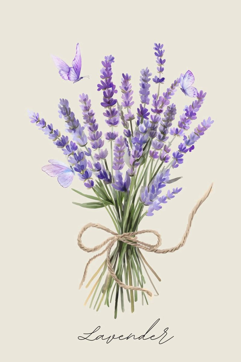 Lavender-Butterflies-Violett Leinwand von AESTHETIC VIBES by Isabel