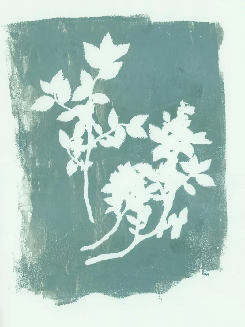 botanical reminiscences 1 carta hahnemühle da IRIS LEHNHARDT FINE ART