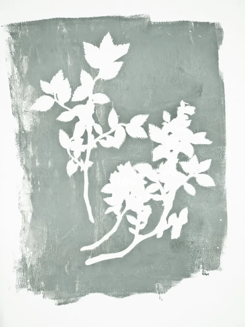 botanical reminiscences 1 - grey carta hahnemühle da IRIS LEHNHARDT FINE ART