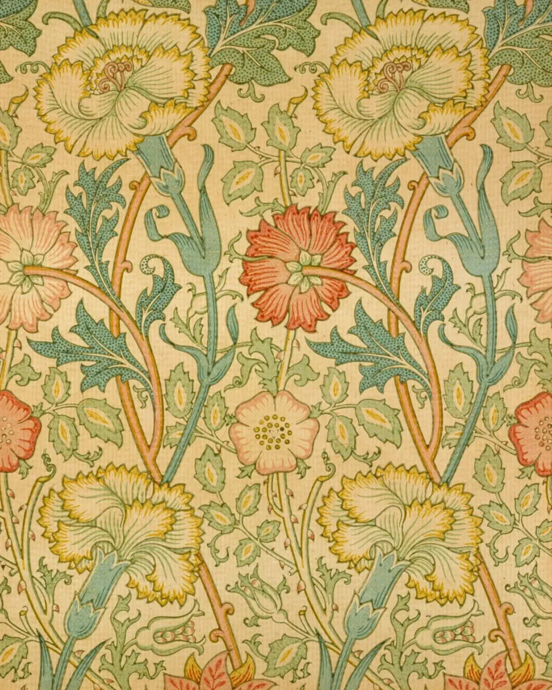 William Morris - Rosa e rosa pellicola backlit da William Store