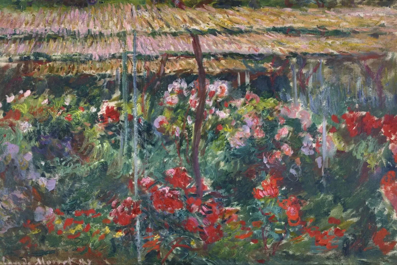 Claude Monet - Giardino delle peonie poster da Timeless Artworks