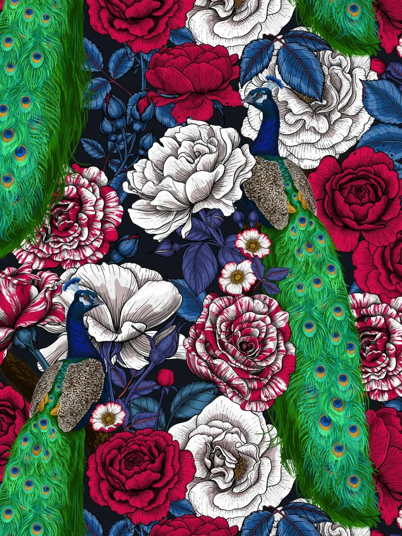 Pavoni nel roseto pellicola backlit da Painted Nature