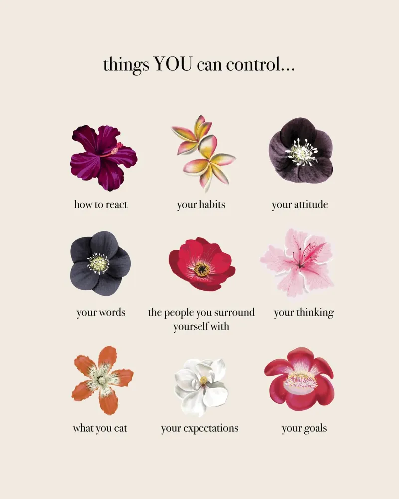 Things you CAN control pellicola backlit da anisillustration
