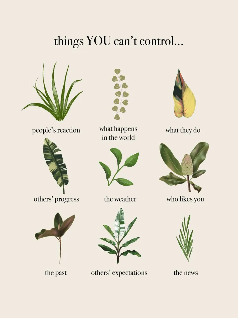 Things you can't control pellicola backlit da anisillustration