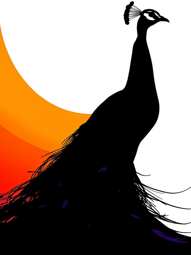Pavone - Pop Art pellicola backlit da ColorCrash Gallery