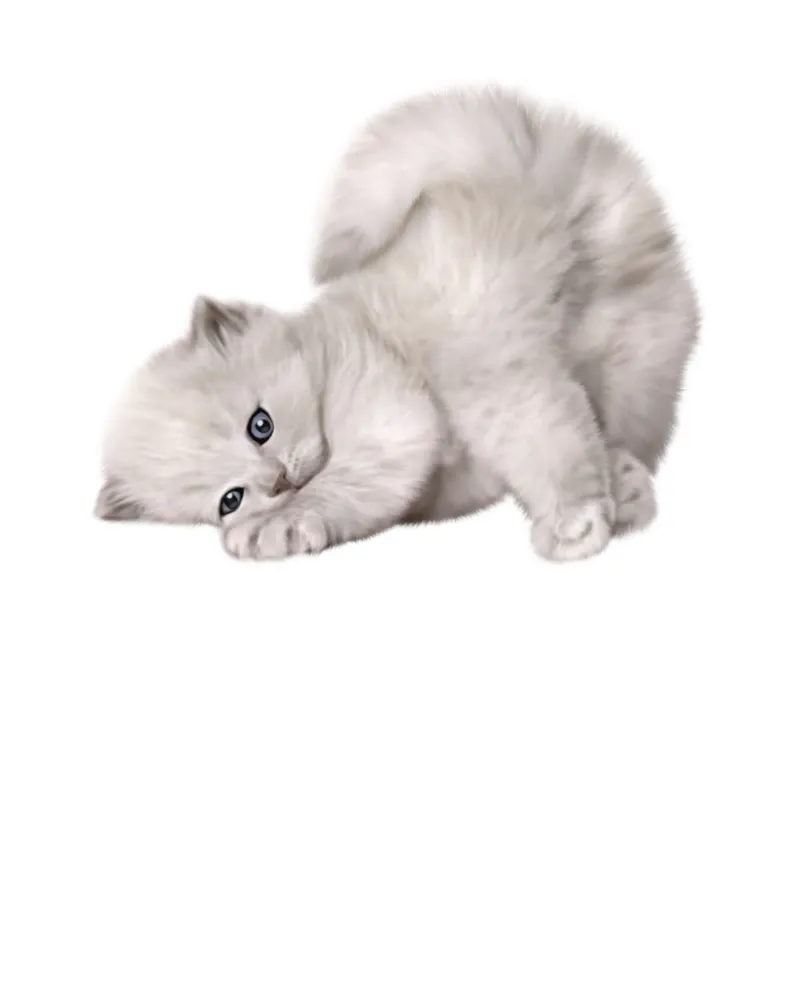 gatto carta hahnemühle da khoailang