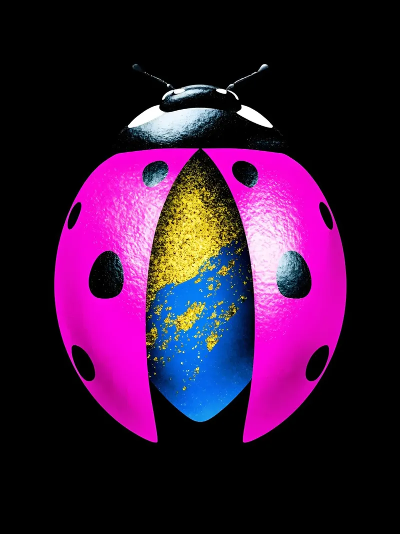 Coccinella - Pop Art pellicola backlit da ColorCrash Gallery
