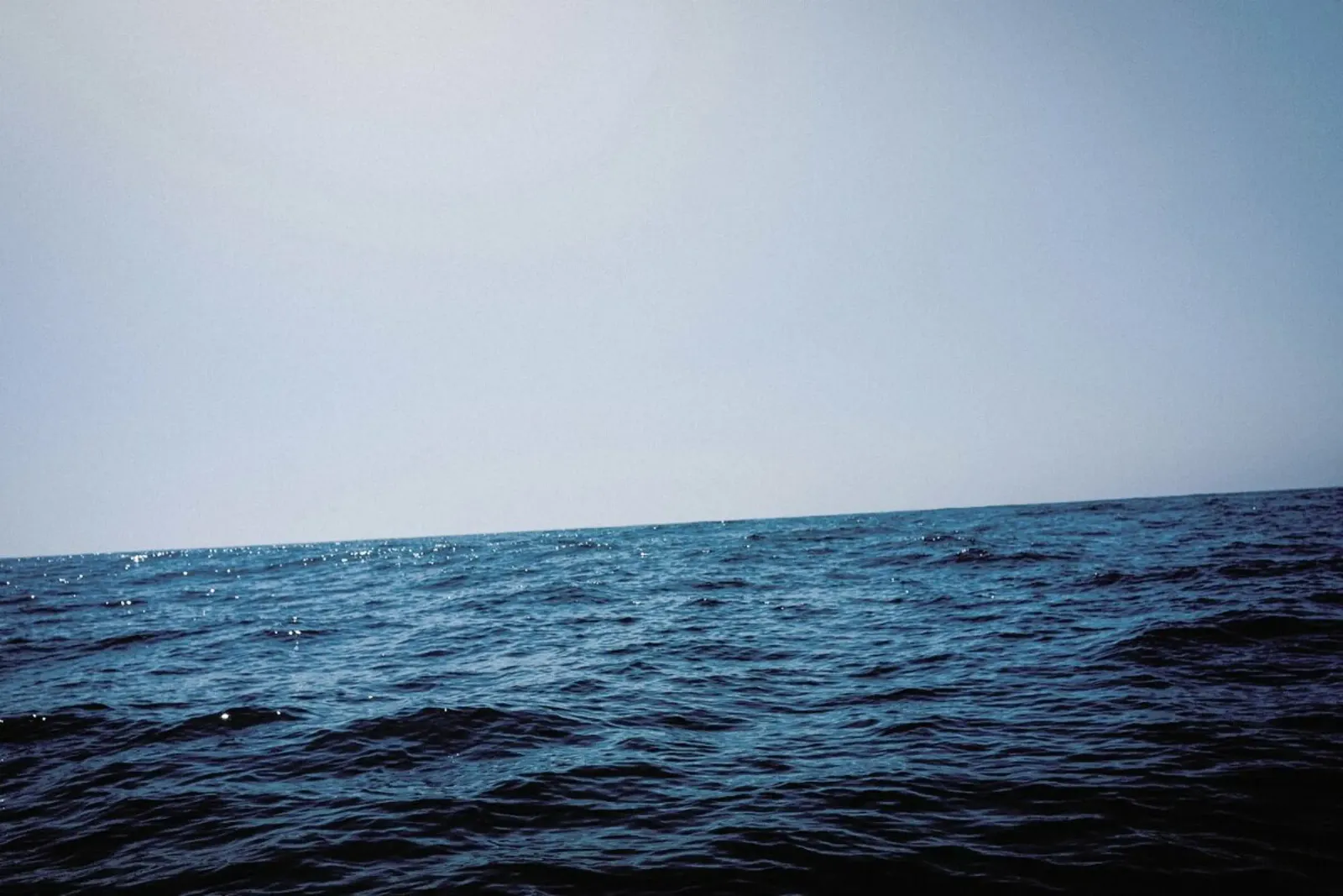 Free on the Sea poster con telaio in plastica da Philipp Reinhard
