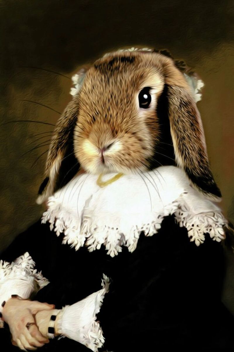 Miss Bunny Rabbit poster by Tein Lucasson