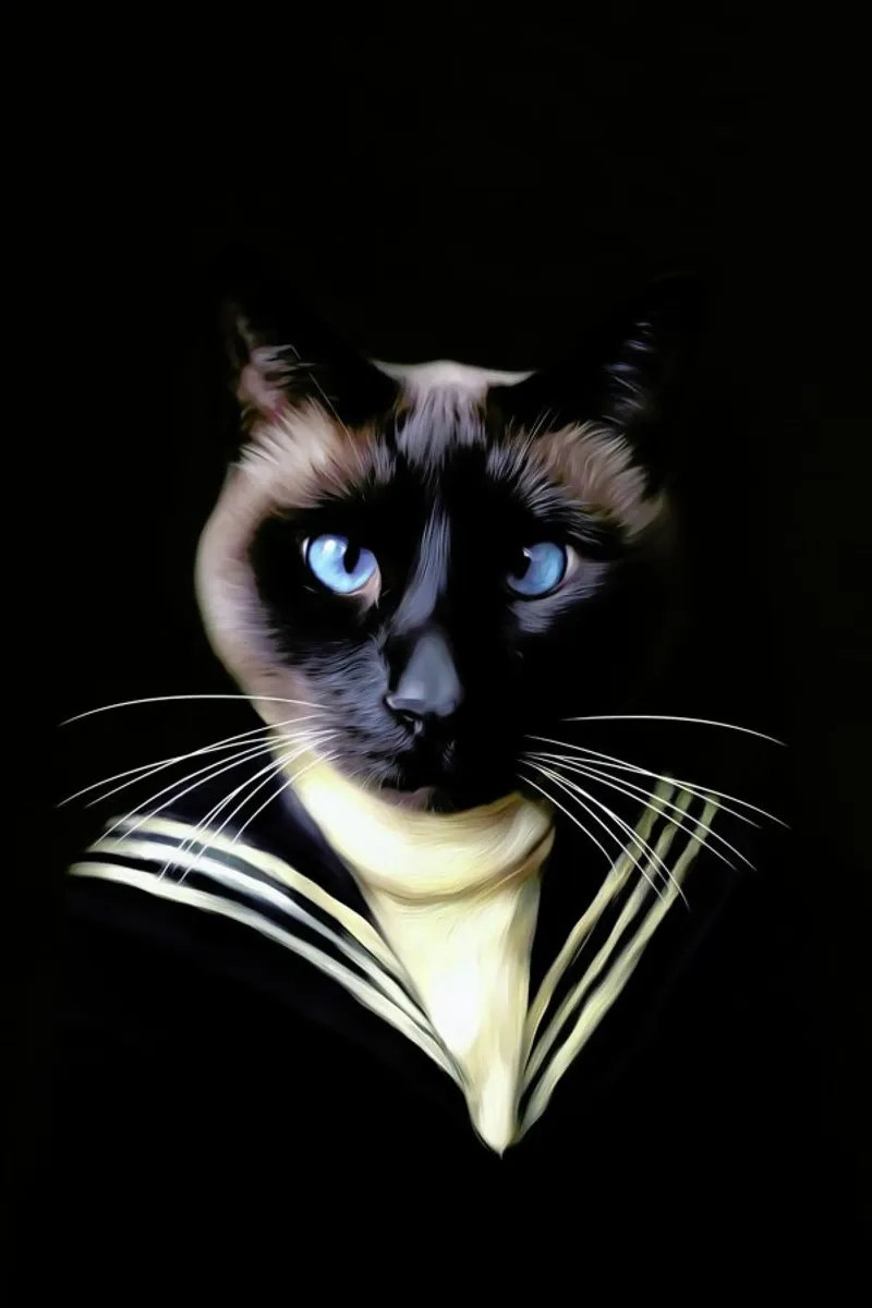 Dorus the Sailor pellicola backlit da Tein Lucasson