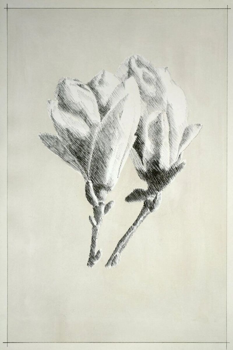 Profond - Magnolia Poster von David Diehl