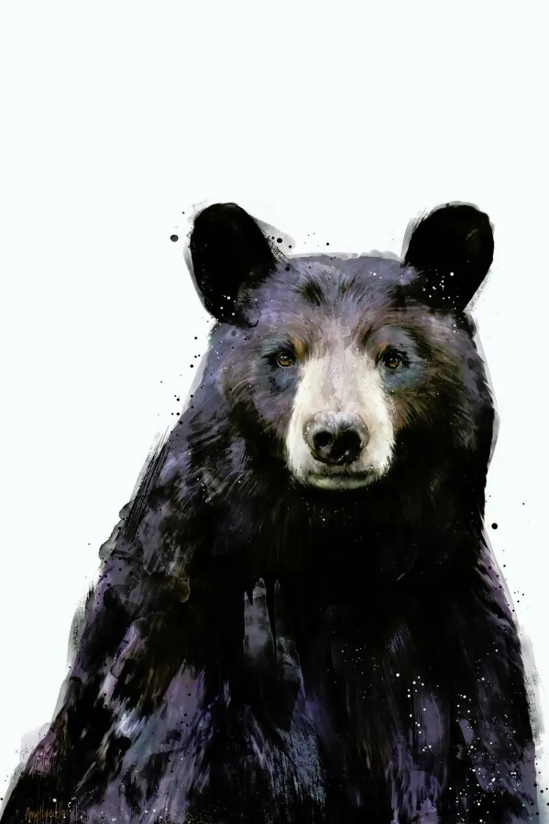 Black Bear poster con telaio in plastica da Amy Hamilton