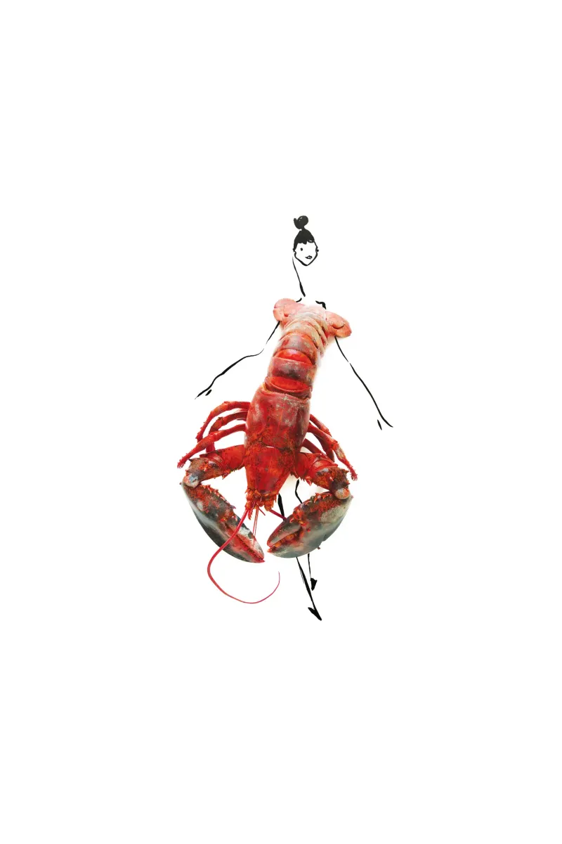 The Lobster pellicola backlit da Gretchen Roehrs