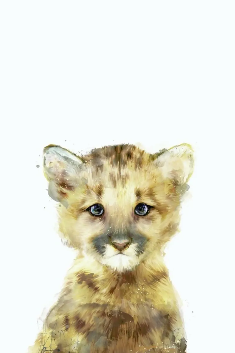 Little Mountain Lion pellicola backlit da Amy Hamilton