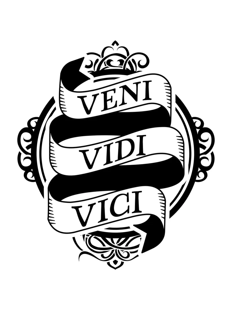 Veni Vidi Vici - Ich kam, ich sah, ich siegte canvas by pixelbull - medieval art and more