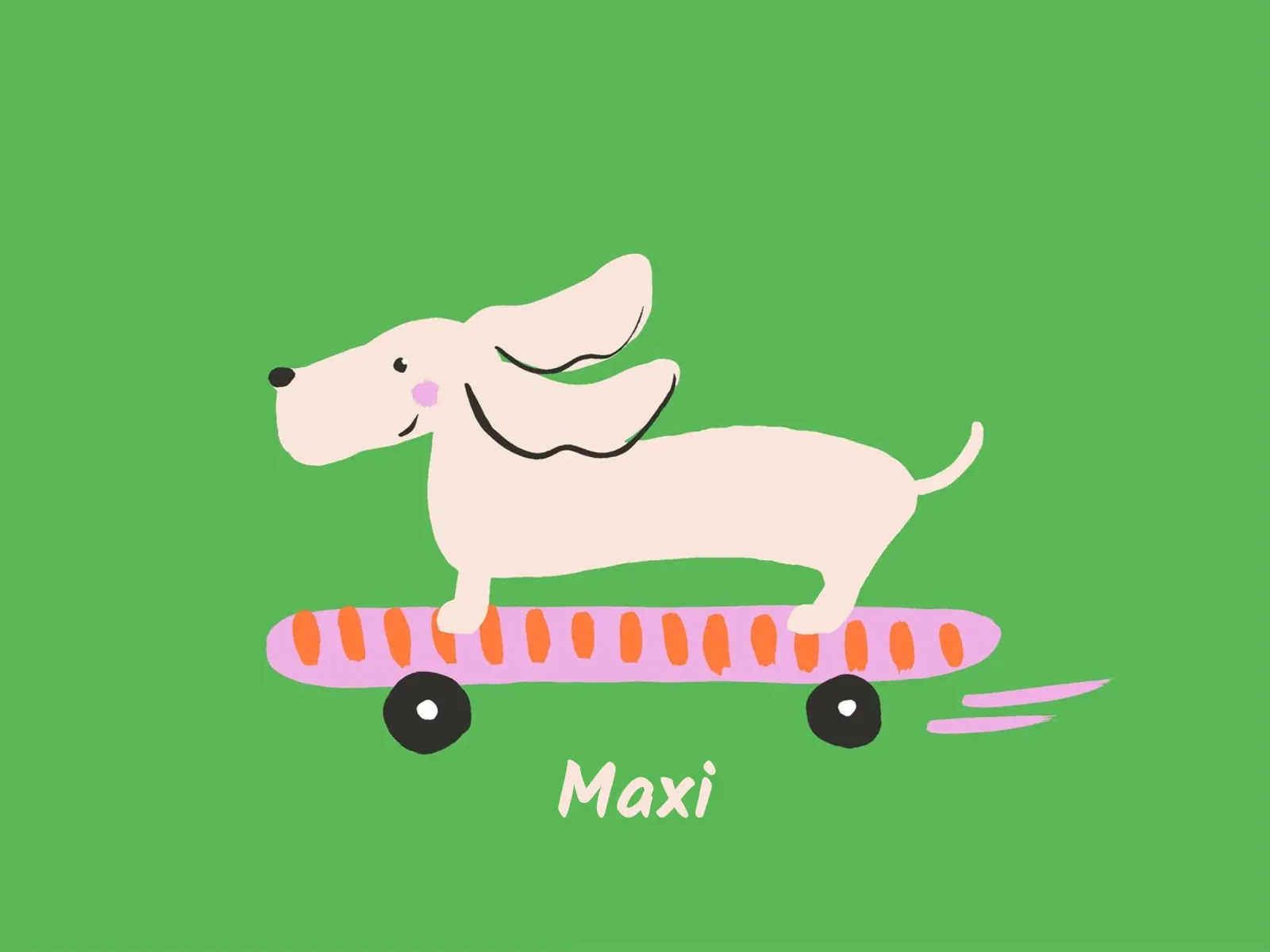 Teckel sur un skateboard plexiglas de All Colours