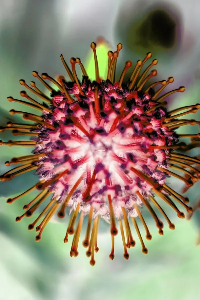 Pin Cushion 1 pellicola backlit da Shot By Clint