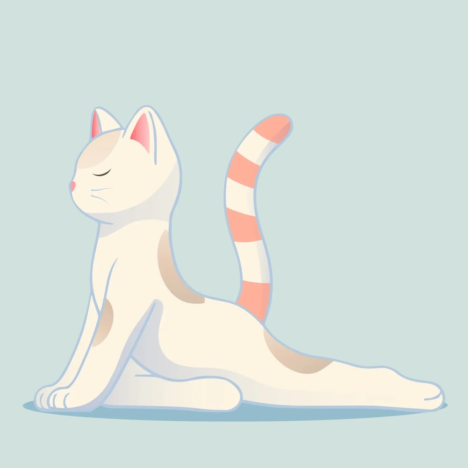 Chat dans une position de yoga douce hahnemühle de namosh