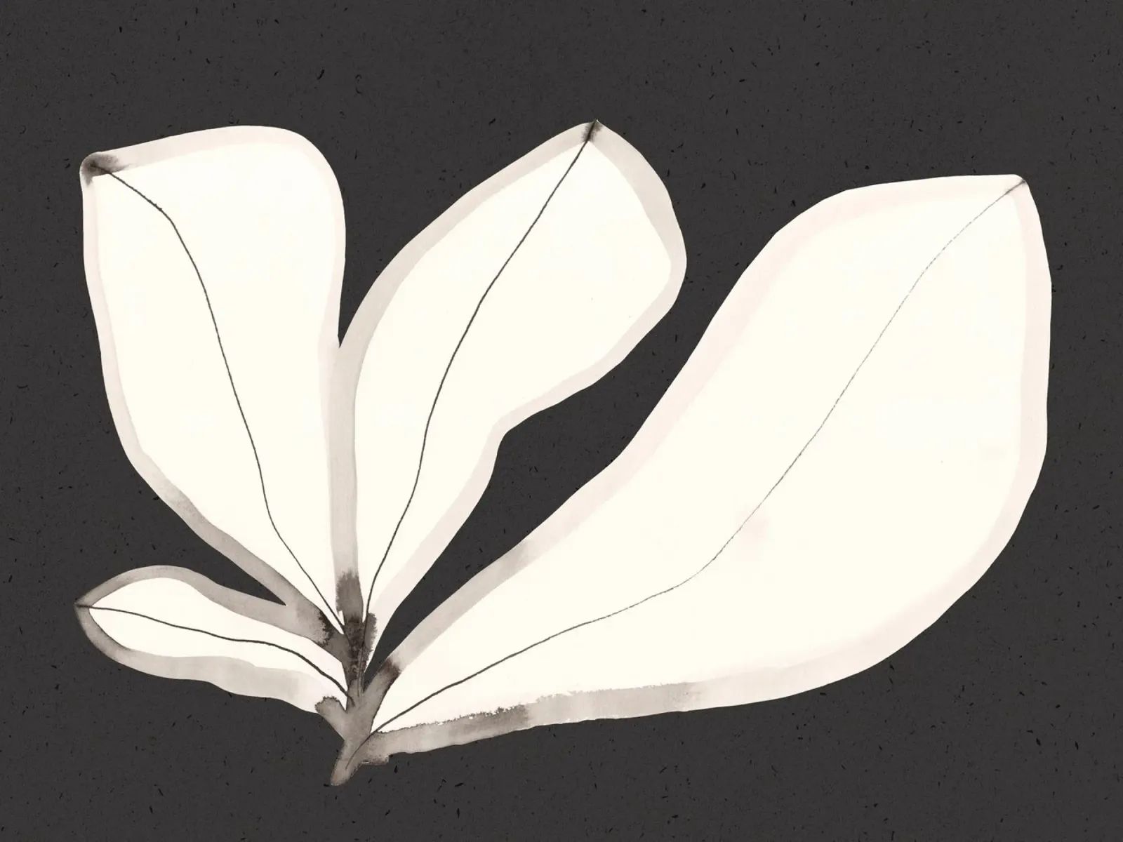 Black Leaflover 04 plexiglass da Leaflover