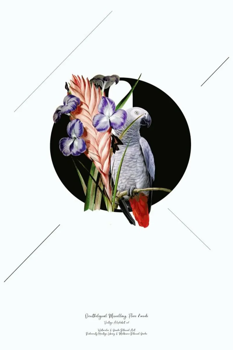 Botanical Alphabet - O pellicola backlit da Froilein Juno