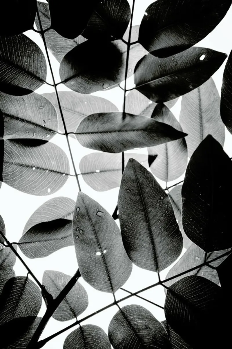 Experiments with Leaves II pannello forex da Tal Paz-Fridman