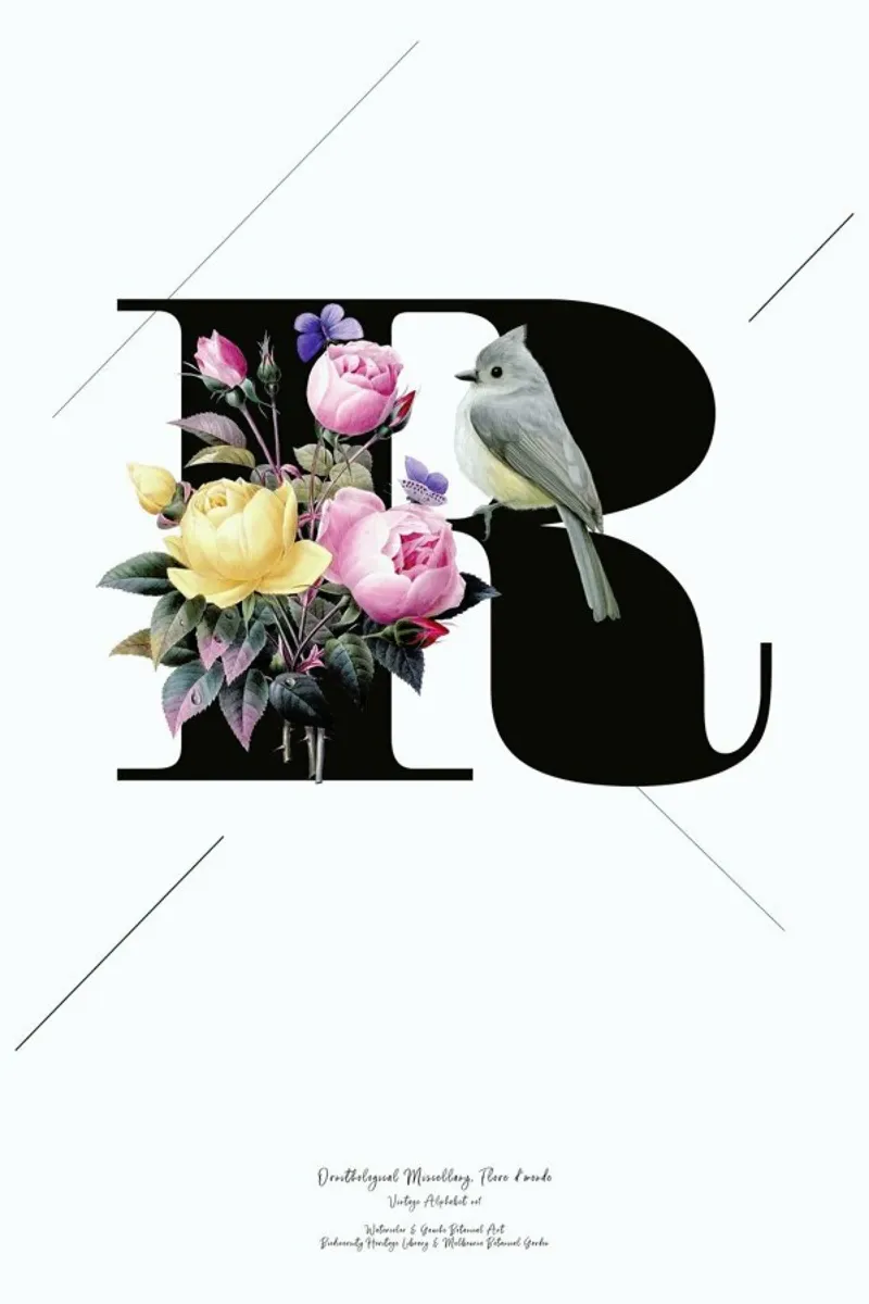 Botanical Alphabet - R pellicola backlit da Froilein Juno