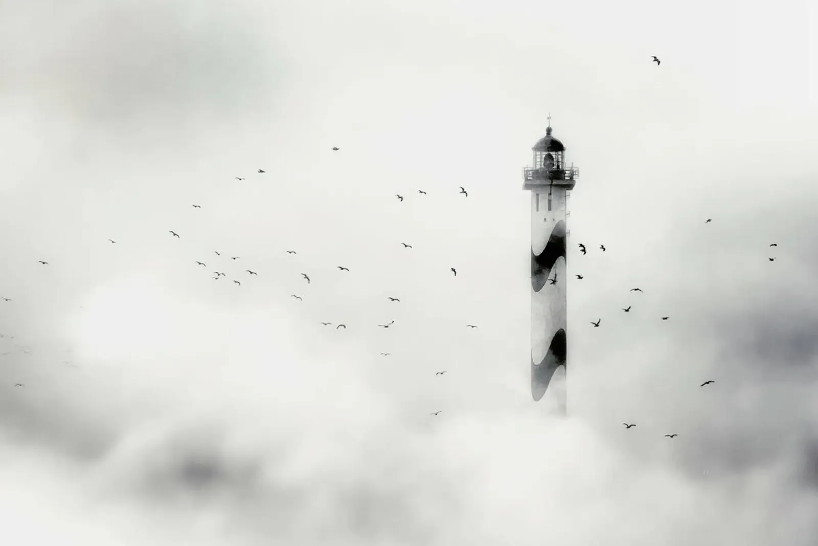The Fog - Piet Flour alluminio dibond da Pictufy