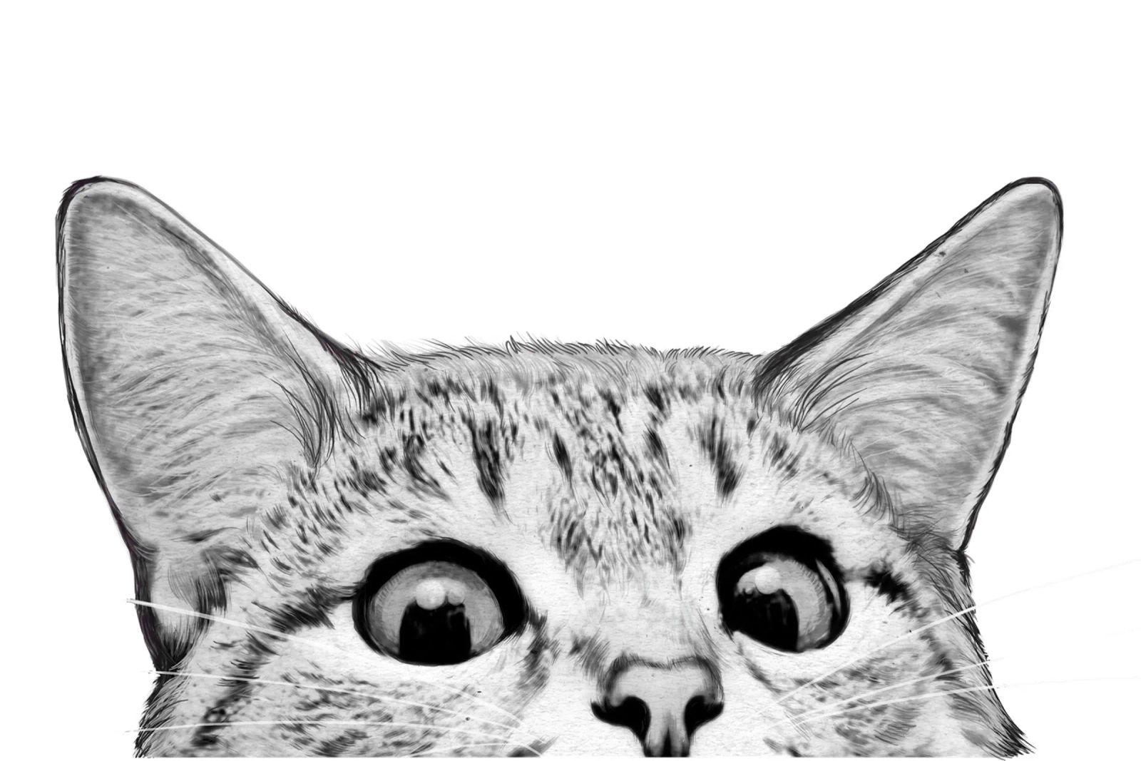 Cat Poster von Laura Graves