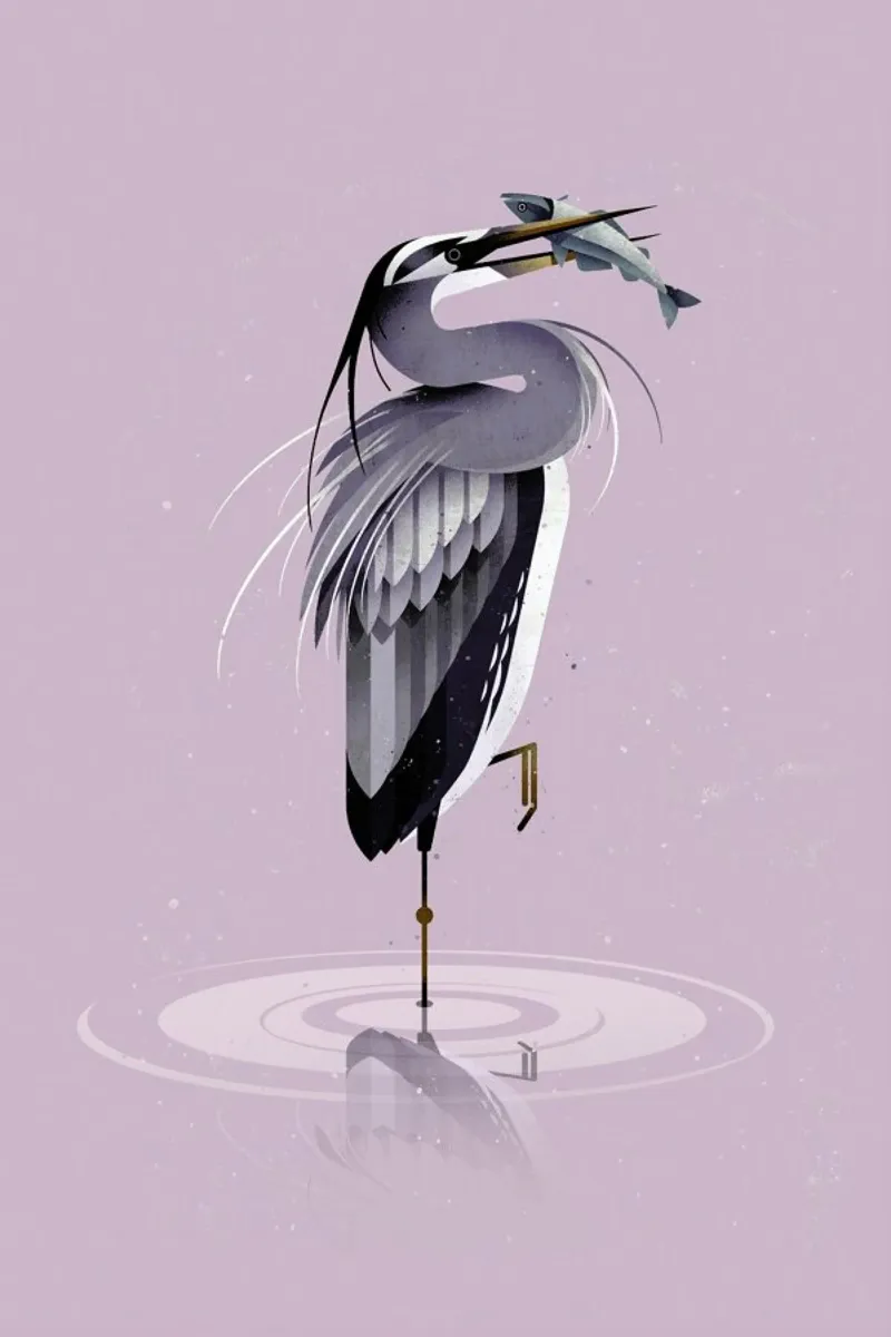 Grey Heron pellicola backlit da Dieter Braun