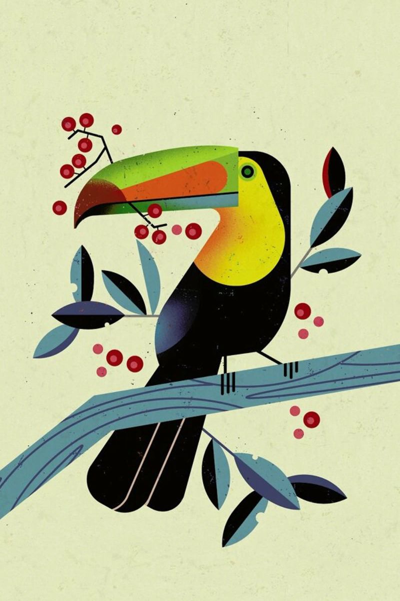 Toucan II pellicola backlit da Dieter Braun