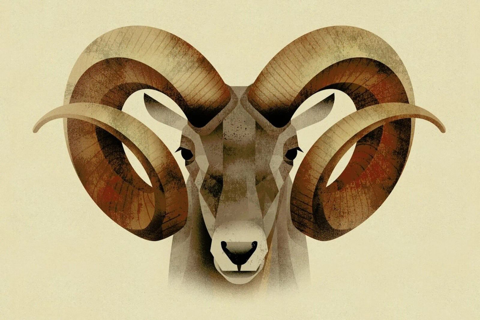 Urial Poster von Dieter Braun