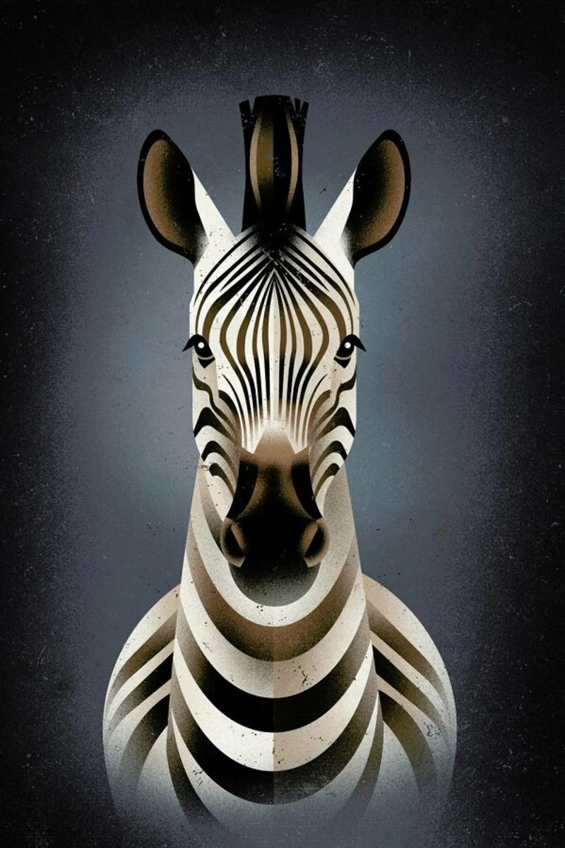 Zebra II poster da Dieter Braun