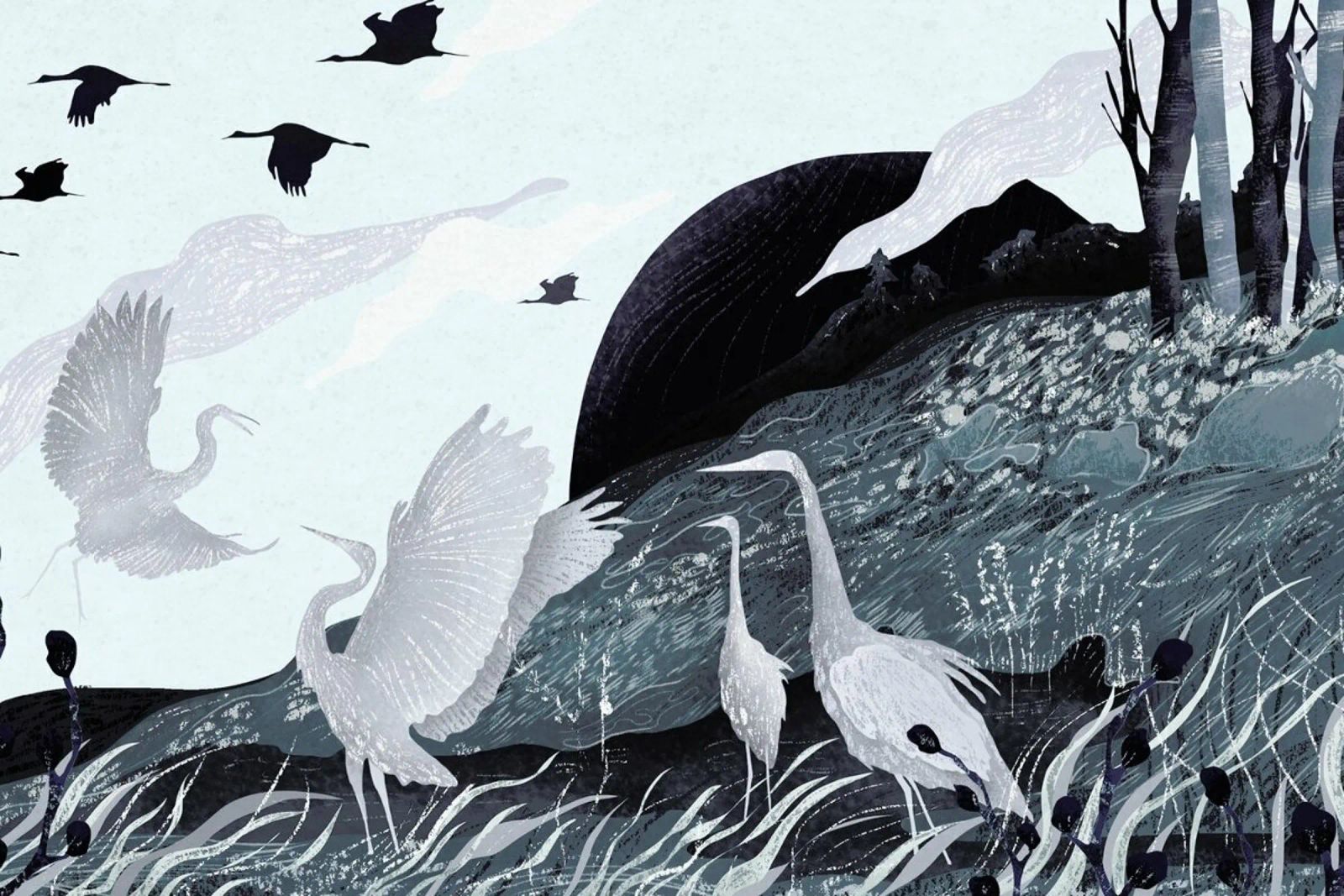 Winter poster de Amalia Restrepo
