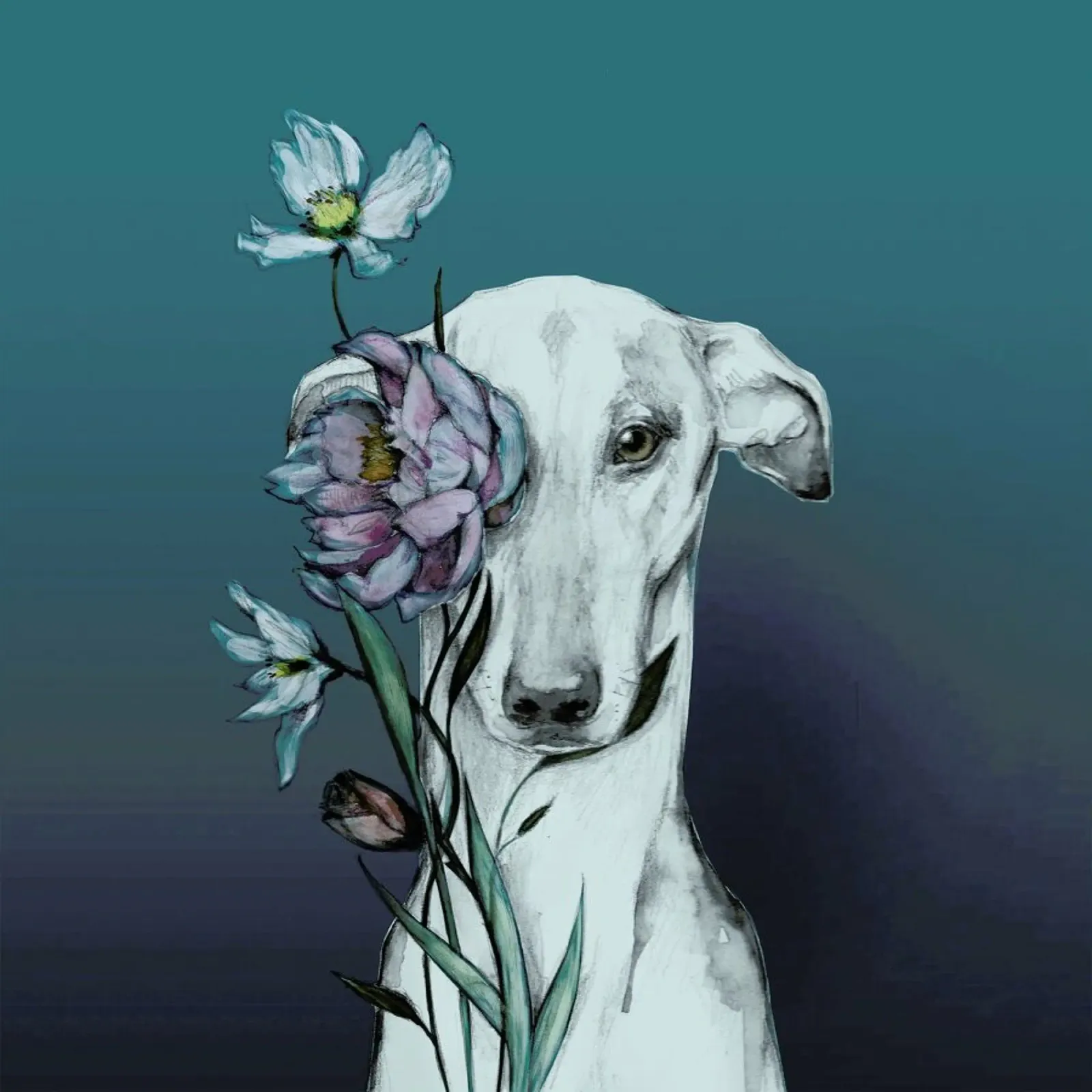 Levriero Floro Blu poster con telaio in alluminio da Susana Miranda ilustracion