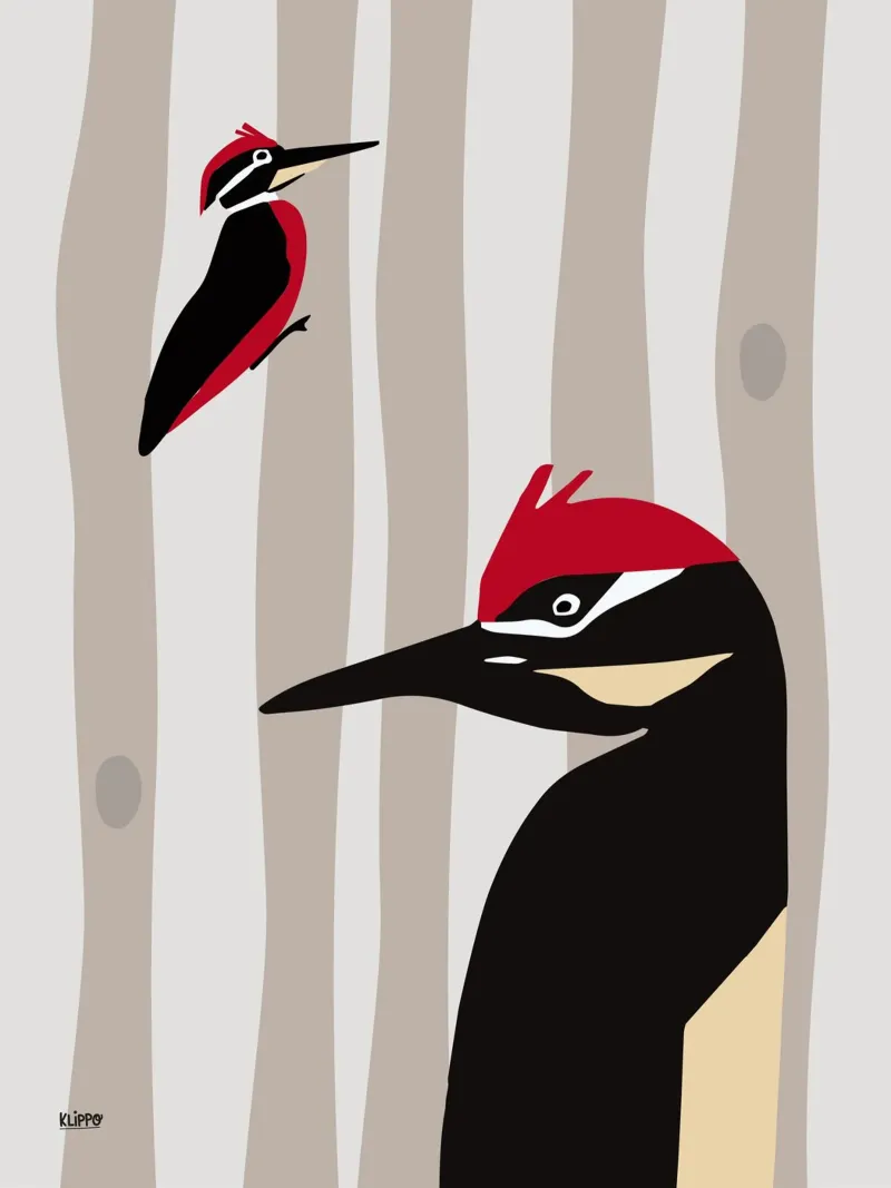 Woodpecker in the Woods pellicola backlit da Spunk