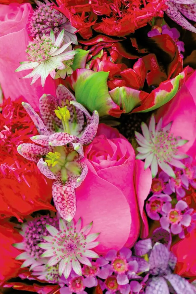 Flower Power pellicola backlit da Curious Collections by Marielle Leenders