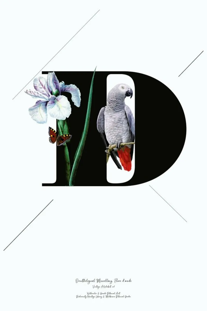 Botanical Alphabet - D pellicola backlit da Froilein Juno
