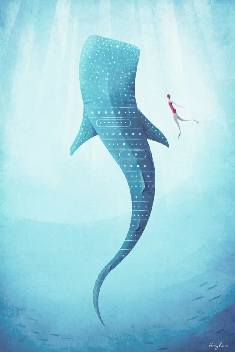 Whale Shark poster con telaio in alluminio da Henry Rivers