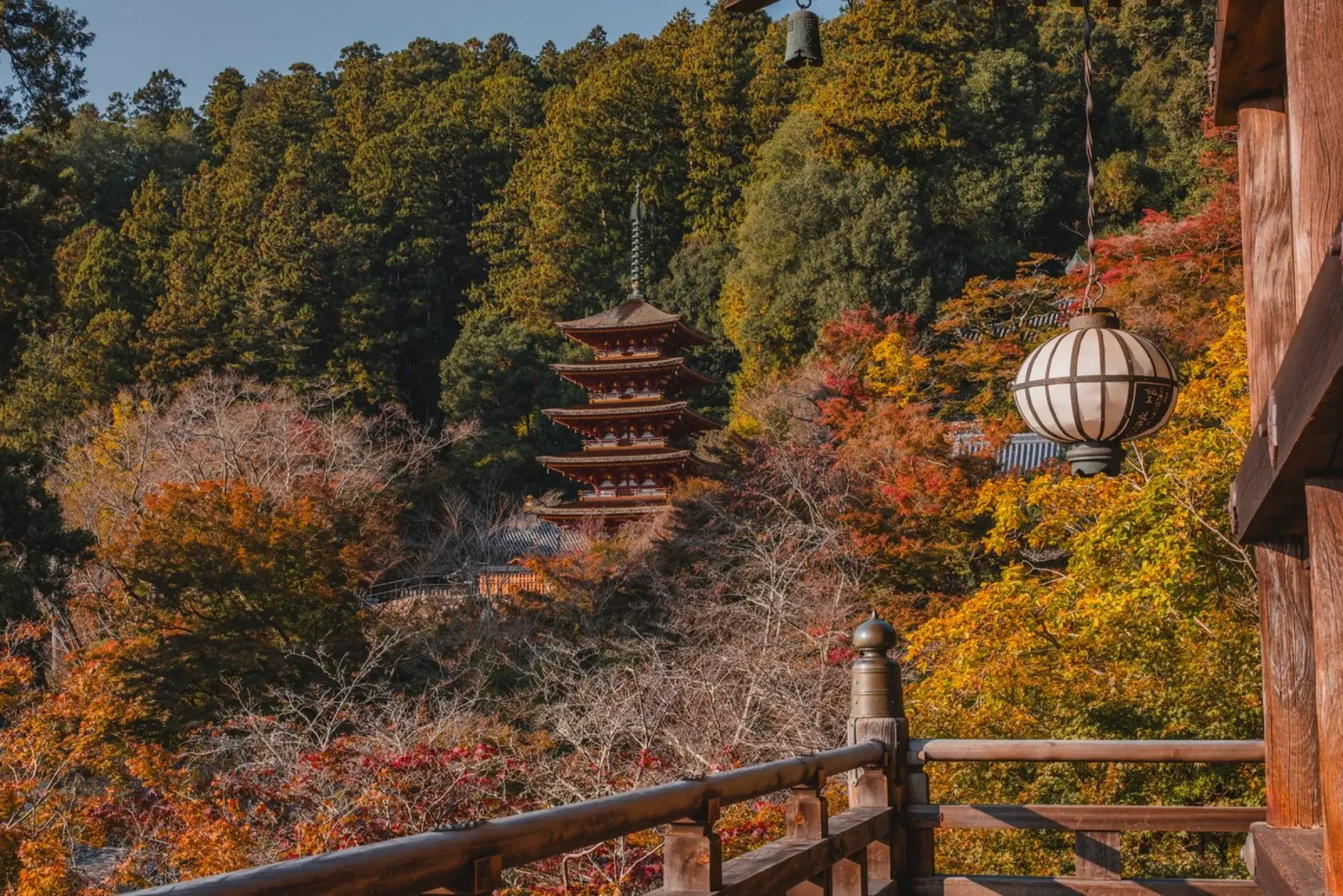 Tempio giapponese in autunno - Nara, Giappone pellicola backlit da Marcel Bisig