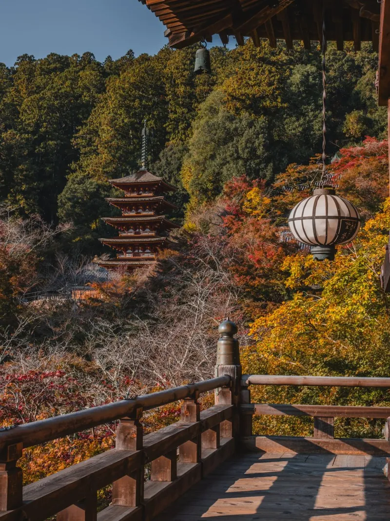 Tempio giapponese in autunno - Nara, Giappone pellicola backlit da Marcel Bisig