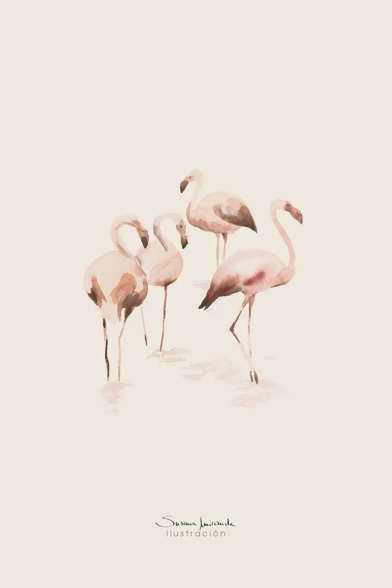 Fenicotteri acquerellati in rosa salmone su sfondo crema pellicola backlit da Art by Susana Miranda ilustración