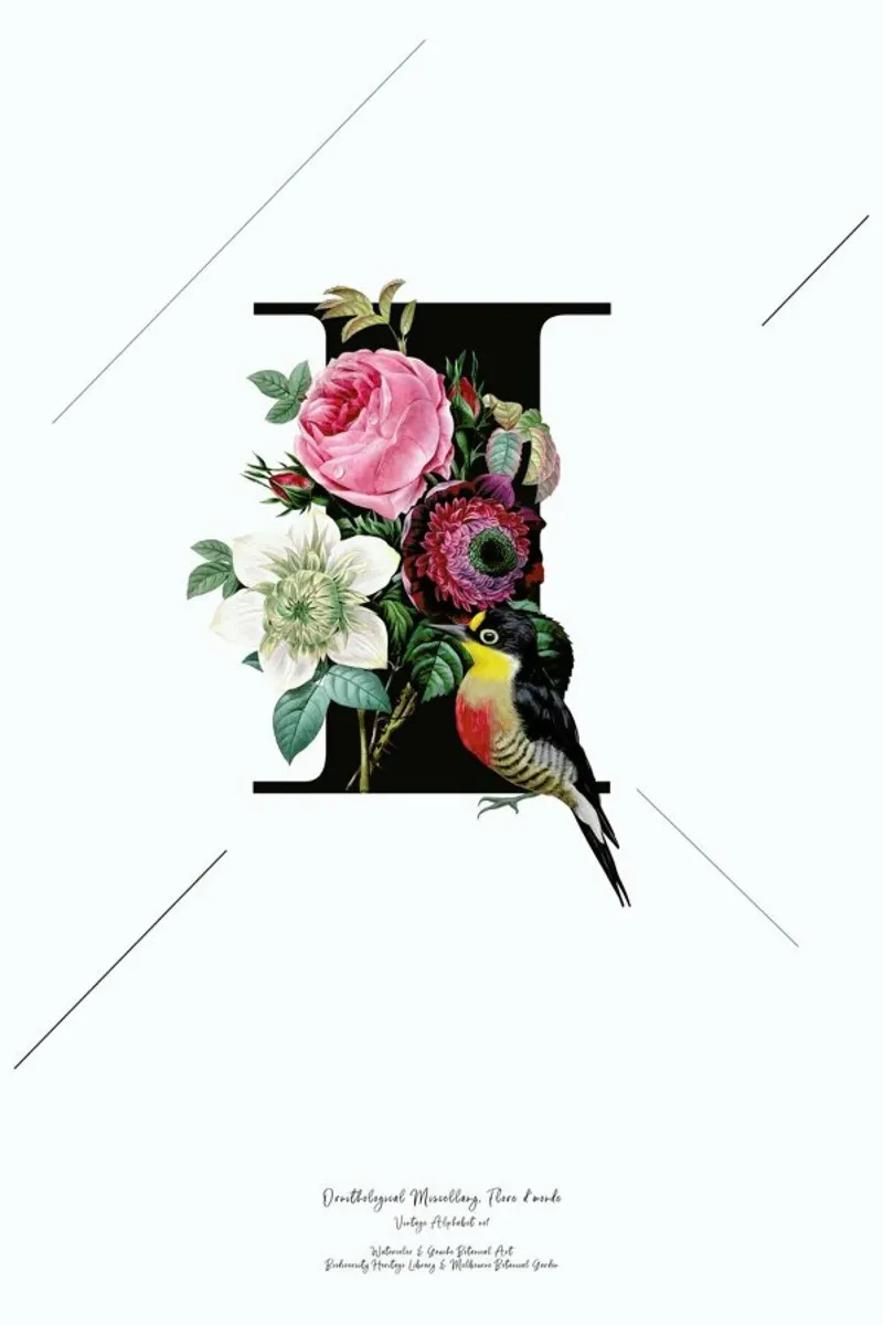 Botanical Alphabet - I pellicola backlit da Froilein Juno