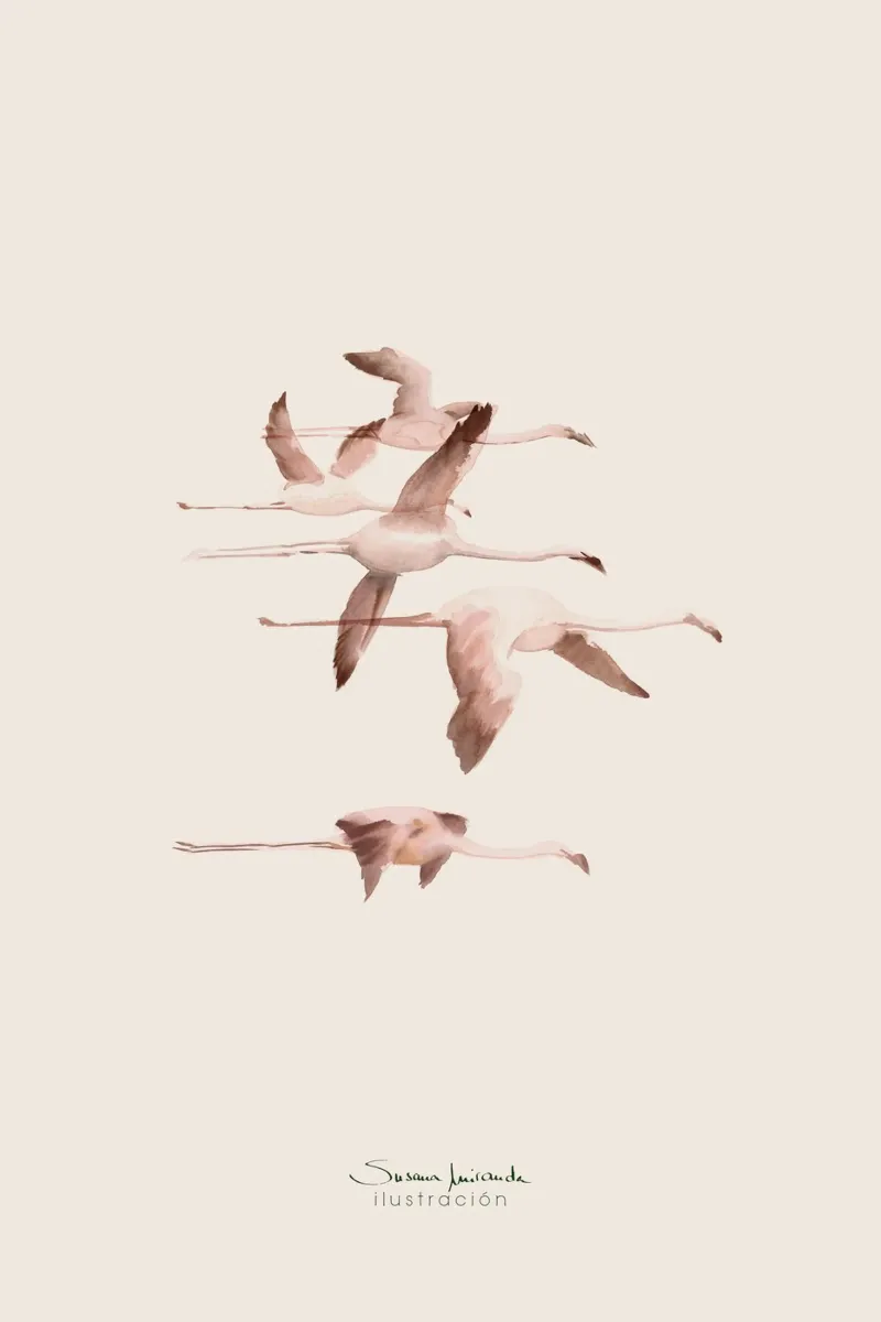 Aquarellierte Flamingos in zarten lachsrosa Tönen Hahnemühle von Art by Susana Miranda ilustración