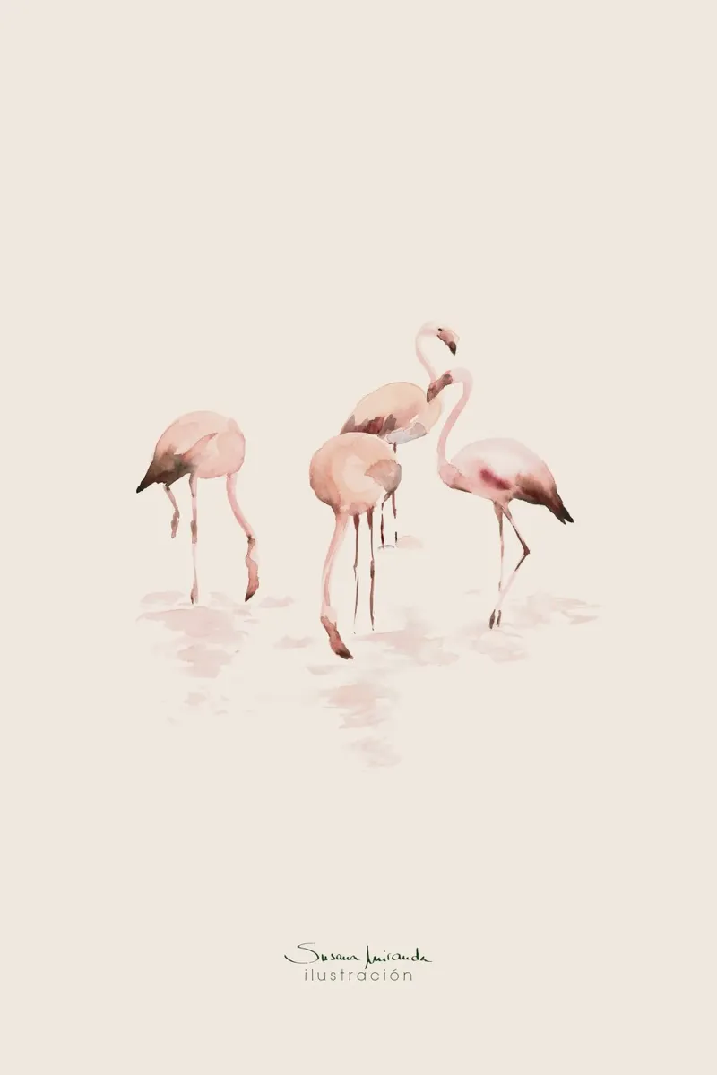 Handgezeichnete Aquarellflamingos in zarten lachsrosa Tönen. Hahnemühle von Art by Susana Miranda ilustración