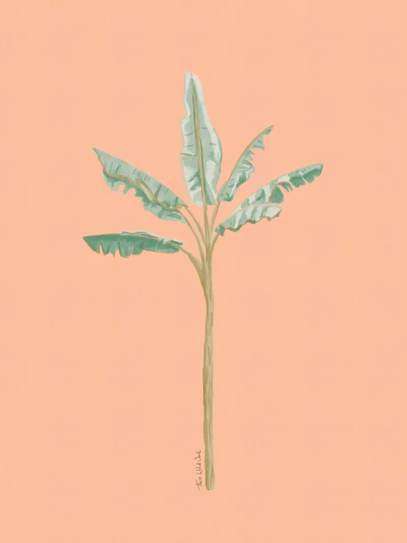 Peach Banana Tree Illustrazione acquerello minimalista Boho pellicola backlit da This Wild Soul - Illustration