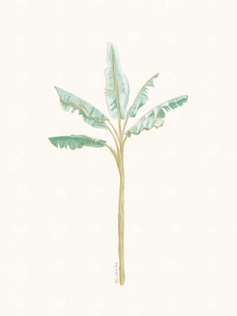 Albero di banane pianta esotica tropicale - colori chiari boho costieri pellicola backlit da This Wild Soul - Illustration