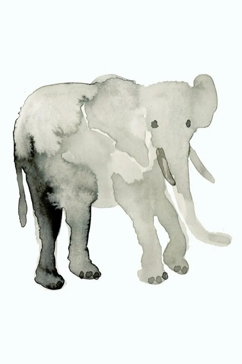 Elephant pellicola backlit da Farina Kuklinski
