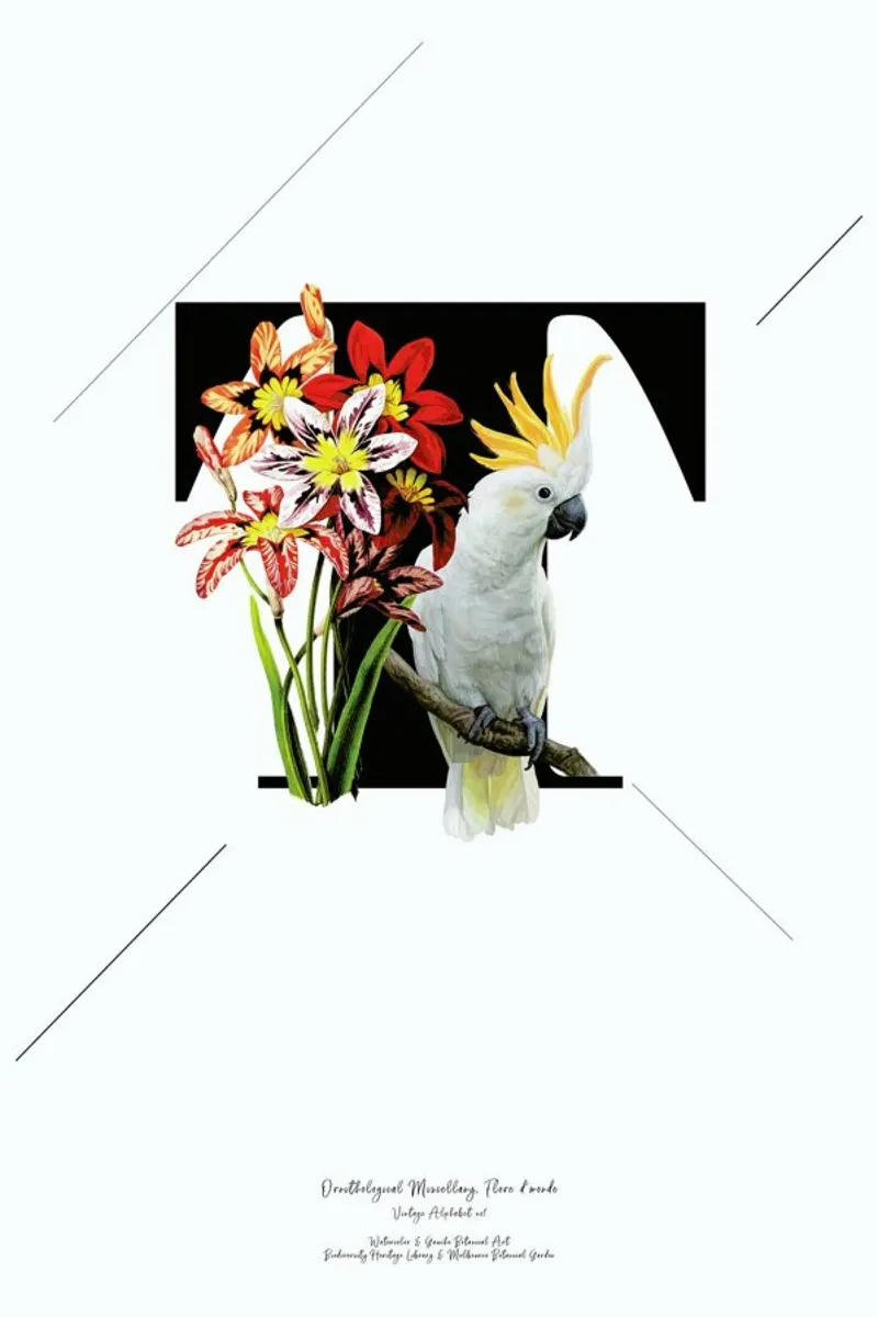 Botanical Alphabet - T pellicola backlit da Froilein Juno
